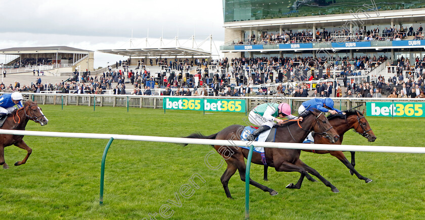 Dance-Sequence-0001 
 DANCE SEQUENCE (farside, William Buick) beats SKELLET (nearside) in The Godolphin Lifetime Care Oh So Sharp Stakes
Newmarket 13 Oct 2023 - Pic Steven Cargill / Racingfotos.com