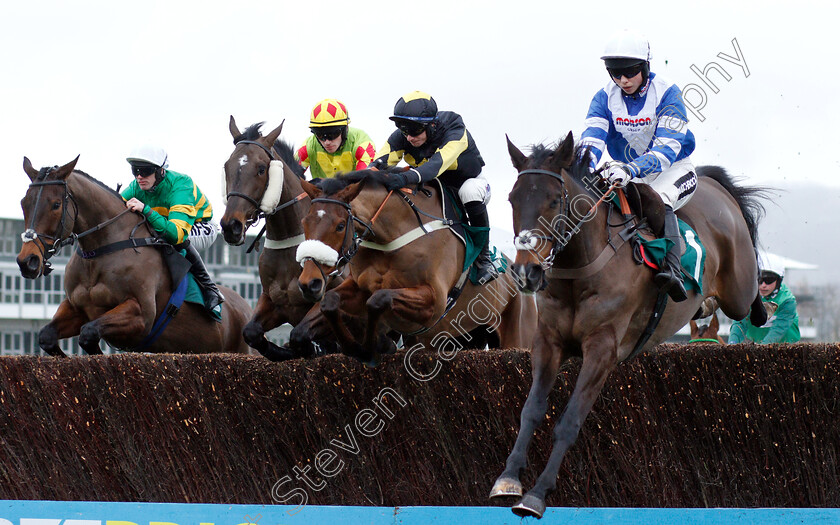 Frodon-0002 
 FRODON (right, Bryony Frost) beats ELEGANT ESCAPE (2nd right) ALLYSSON MONTERG (2nd left) and MINELLA ROCCO (left) in The BetBright Trial Cotswold Chase
Cheltenham 26 Jan 2019 - Pic Steven Cargill / Racingfotos.com