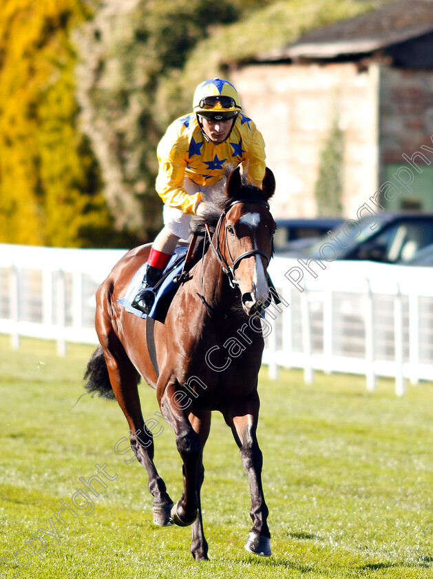 Time-Immemorial-0001 
 TIME IMMEMORIAL (Andrea Atzeni)
Salisbury 3 Oct 2018 - Pic Steven Cargill / Racingfotos.com