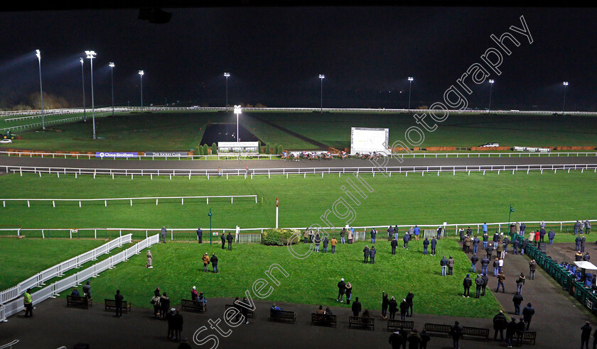 Kempton-0006 
 Punters watch the racing
Kempton 2 Dec 2020 - Pic Steven Cargill / Racingfotos.com