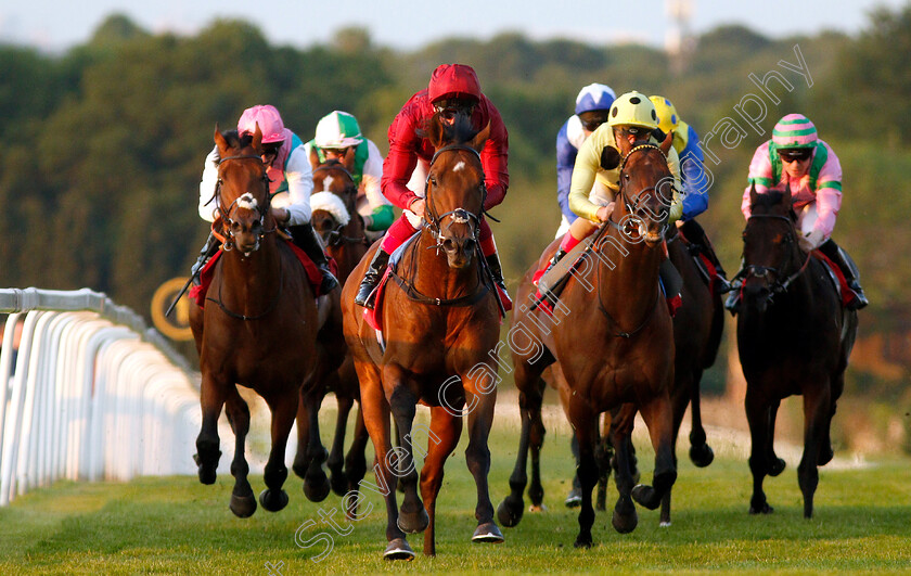 King-Of-Comedy-0006 
 KING OF COMEDY (Frankie Dettori) beats ROSEMAN (right) in The Matchbook Low Commission Exchange Heron Stakes
Sandown 23 May 2019 - Pic Steven Cargill / Racingfotos.com