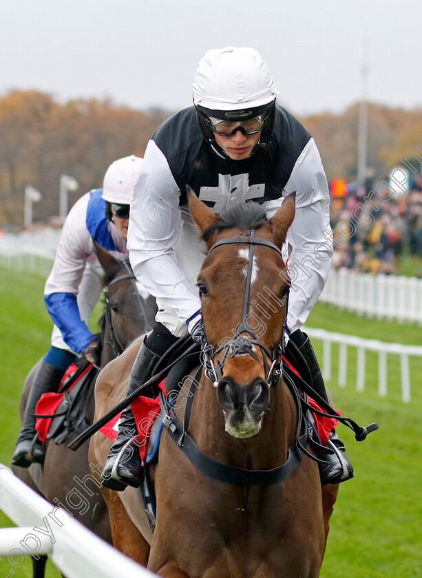 William-Of-York-0001 
 WILLIAM OF YORK (Harry Cobden)
Sandown 3 Dec 2022 - Pic Steven Cargill / Racingfotos.com