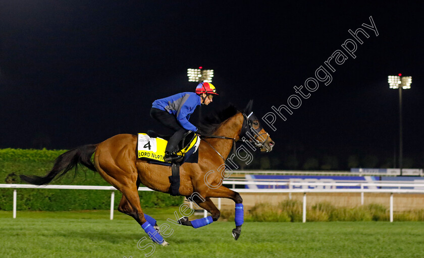 Lord-North-0001 
 LORD NORTH (Frankie Dettori) training for The Dubai Turf
Meydan Dubai 28 Mar 2024 - Pic Steven Cargill / Racingfotos.com