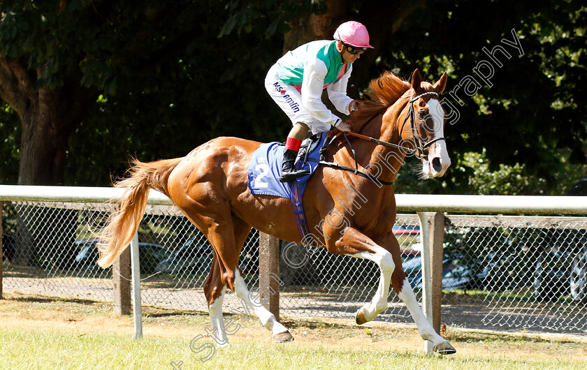 Herculean-0001 
 HERCULEAN (Andrea Atzeni) before winning The Ben And Mary Hibbert Memorial Novice Stakes
Pontefract 10 Jul 2018 - Pic Steven Cargill / Racingfotos.com