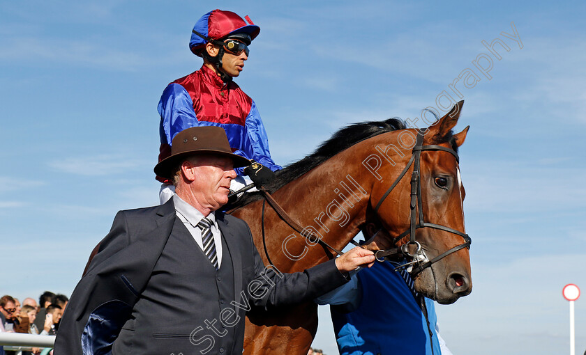 Jan-Brueghel-0006 
 JAN BRUEGHEL (Sean Levey) winner of The Betfred St Leger 
Doncaster 14 Sep 2024 - Pic Steven Cargill / Racingfotos.com