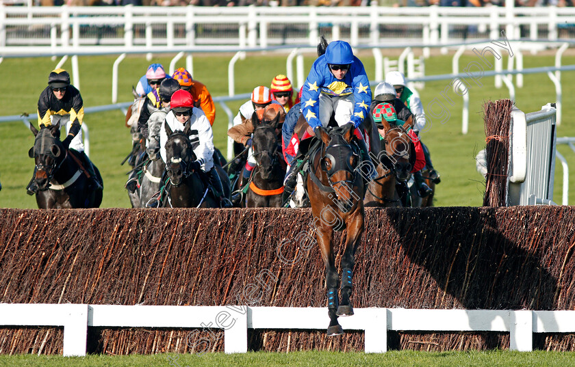 Solstice-Son-0002 
 SOLSTICE SON (Will Biddick) Cheltenham 17 Nov 2017 - Pic Steven Cargill / Racingfotos.com