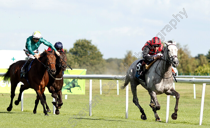 Lady-Bergamot-0001 
 LADY BERGAMOT (George Wood) wins The EBF Breeders Series Fillies Handicap
Doncaster 12 Sep 2018 - Pic Steven Cargill / Racingfotos.com