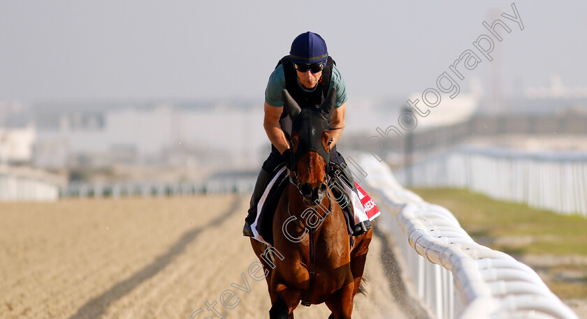 Andromede-0003 
 ANDROMEDE training for the Bahrain International Trophy
Kingdom of Bahrain 14 Nov 2024 - Pic Steven Cargill / Racingfotos.com