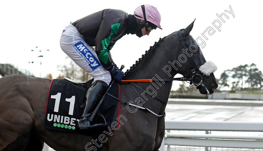 Strong-Glance-0001 
 STRONG GLANCE (Fergus Gregory)
Cheltenham 15 Nov 2020 - Pic Steven Cargill / Racingfotos.com