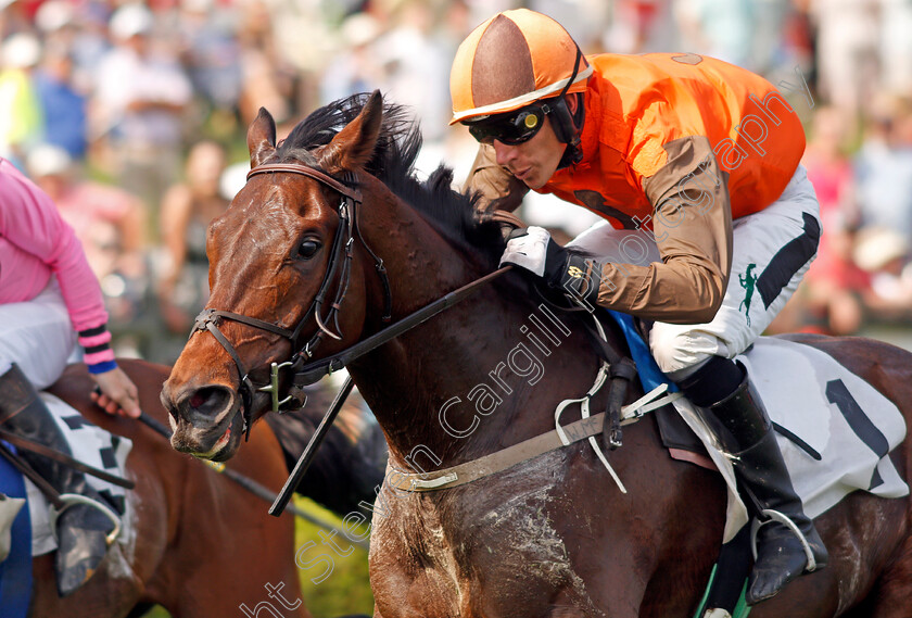 Cite-0006 
 CITE (Willie Mccarthy) wins The George Sloan & John Sloan Sr Maiden Hurdle, Percy Warner Park, Nashville 12 May 2018 - Pic Steven Cargill / Racingfotos.com