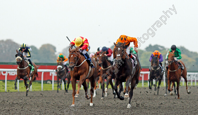 Evening-Hill-0002 
 EVENING HILL (right, Shane Kelly) beats PEACE AND PLENTY (left) in The Matchbook Betting Exchange Handicap Kempton 25 Sep 2017 - Pic Steven Cargill / Racingfotos.com