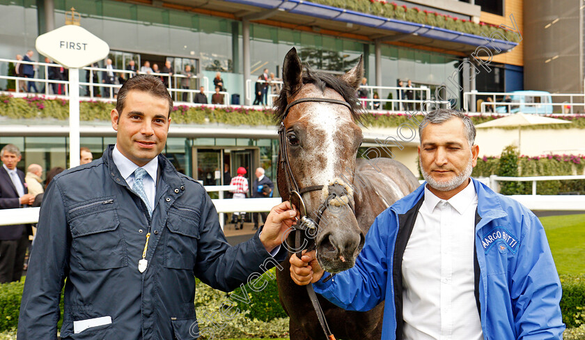 Speak-In-Colours-0010 
 SPEAK IN COLOURS with Marco Botti after The Twinings Novice Auction Stakes Div1 Ascot 8 Sep 2017 - Pic Steven Cargill / Racingfotos.com