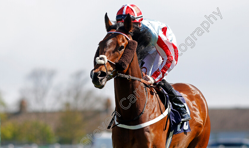 Golden-Grenade-0002 
 GOLDEN GRENADE (Martin Dwyer)
Yarmouth 19 May 2021 - Pic Steven Cargill / Racingfotos.com