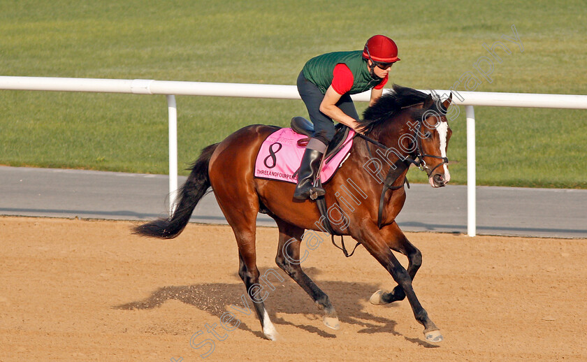 Threeandfourpence-0001 
 THREEANDFOURPENCE exercising in preparation for The UAE Derby at Meydan 29 Mar 2018 - Pic Steven Cargill / Racingfotos.com