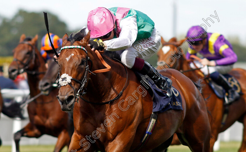 Kikkuli-0004 
 KIKKULI (Oisin Muphy)
Royal Ascot 22 Jun 2024 - Pic Steven Cargill / Racingfotos.com