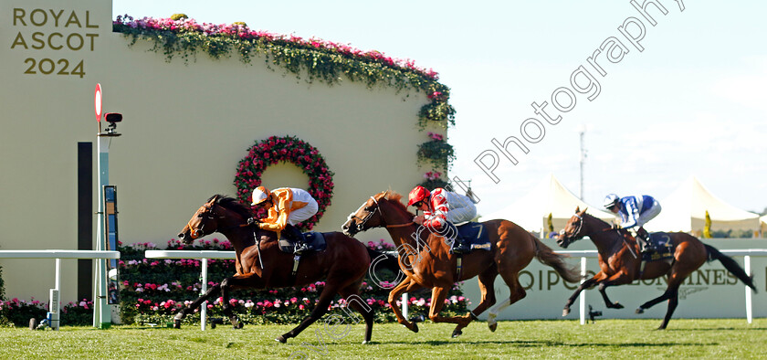 Jayarebe-0001 
 JAYAREBE (Sean Levey) beats KING'S GAMBIT (right) in The Hampton Court Stakes
Royal Ascot 20 Jun 2024 - Pic Steven Cargill / Racingfotos.com