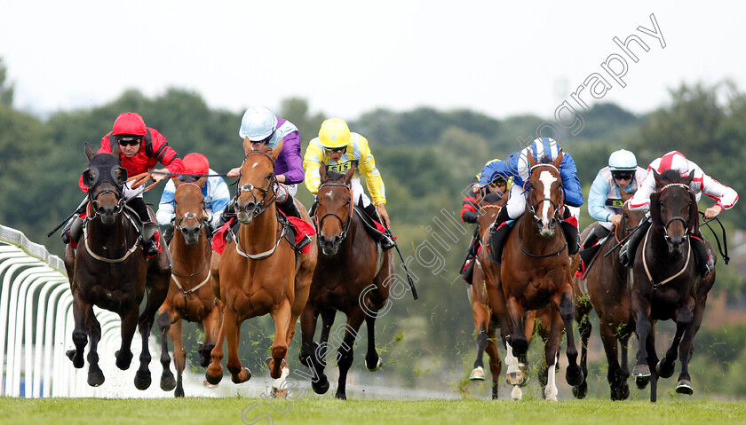 Cosmopolitan-Queen-0002 
 COSMOPOLITAN QUEEN (2nd left, Ryan Moore) beats CHARACTER WITNESS (left) and WARSAAN (2nd right) in The Gate-A-Mation Handicap
Sandown 15 Jun 2018 - Pic Steven Cargill / Racingfotos.com