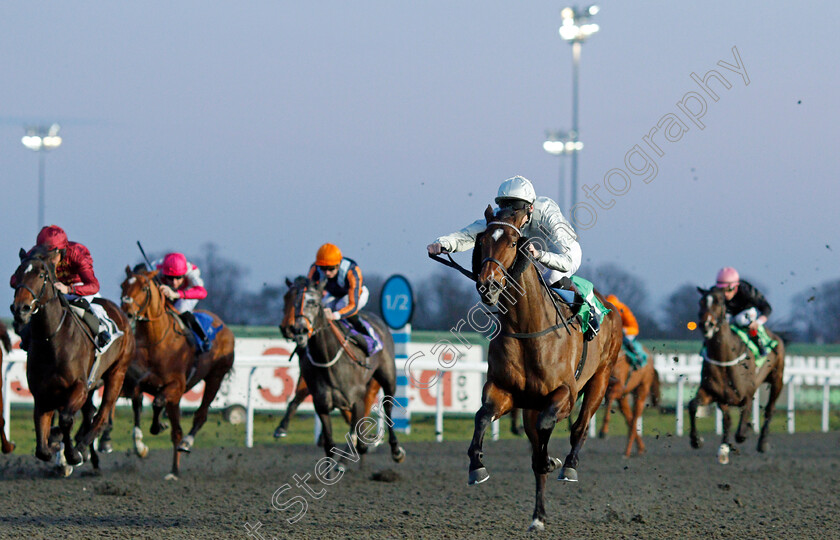 King-Of-Arms-0003 
 KING OF ARMS (Robert Havlin) wins The 32Red On The App Store Maiden Stakes Div1
Kempton 29 Jan 2020 - Pic Steven Cargill / Racingfotos.com