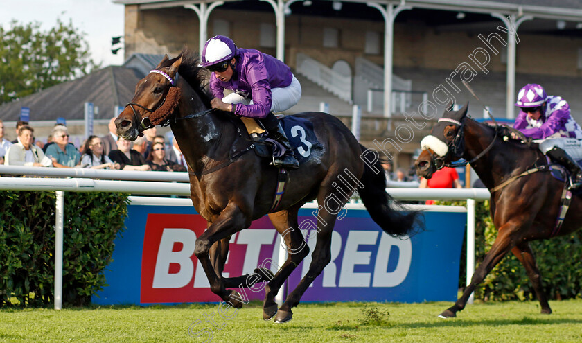 Baradar-0004 
 BARADAR (William Buick) wins The Doncaster Groundworks Reinforcements Handicap
Doncaster 15 Sep 2023 - Pic Steven Cargill / Racingfotos.com