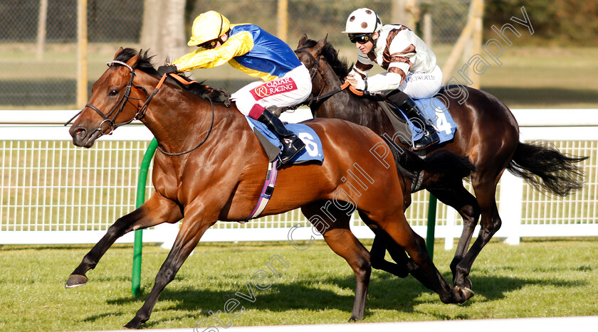 Starfighter-0001 
 STARFIGHTER (Oisin Murphy) wins The Lester Brunt Wealth Management Handicap
Salisbury 5 Sep 2019 - Pic Steven Cargill / Racingfotos.com