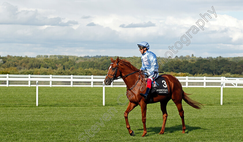 First-Light 
 FIRST LIGHT (Frankie Dettori)
Ascot 1 Oct 2021 - Pic Steven Cargill / Racingfotos.com