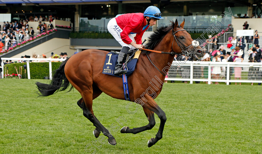 Bay-Bridge 
 BAY BRIDGE (Ryan Moore)
Royal Ascot 15 Jun 2022 - Pic Steven Cargill / Racingfotos.com