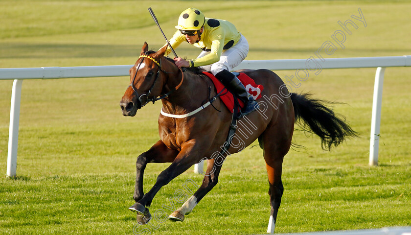 Elite-Status-0006 
 ELITE STATUS (Clifford Lee) wins The Racehorse Lotto National Stakes
Sandown 25 May 2023 - Pic Steven Cargill / Racingfotos.com