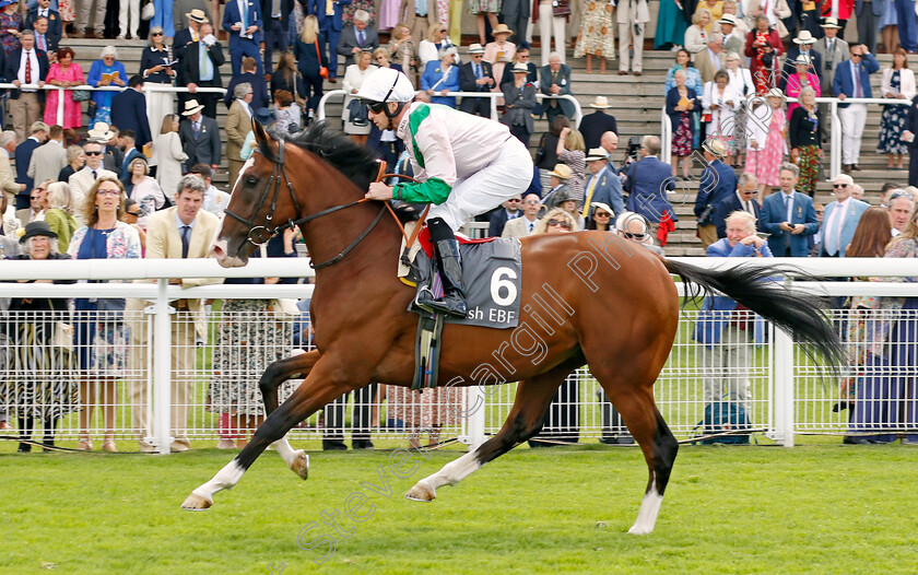 Dark-Dreamer-0001 
 DARK DREAMER (Jack Mitchell)
Goodwood 1 Aug 2023 - Pic Steven Cargill / Racingfotos.com