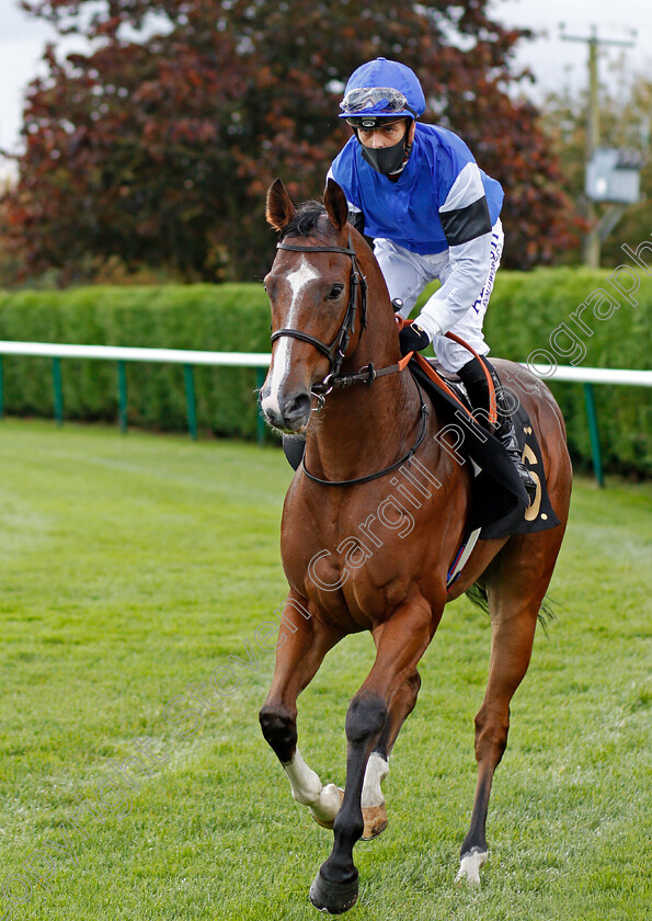 Wonderwork-0001 
 WONDERWORK (Ben Curtis)
Nottingham 14 Oct 2020 - Pic Steven Cargill / Racingfotos.com