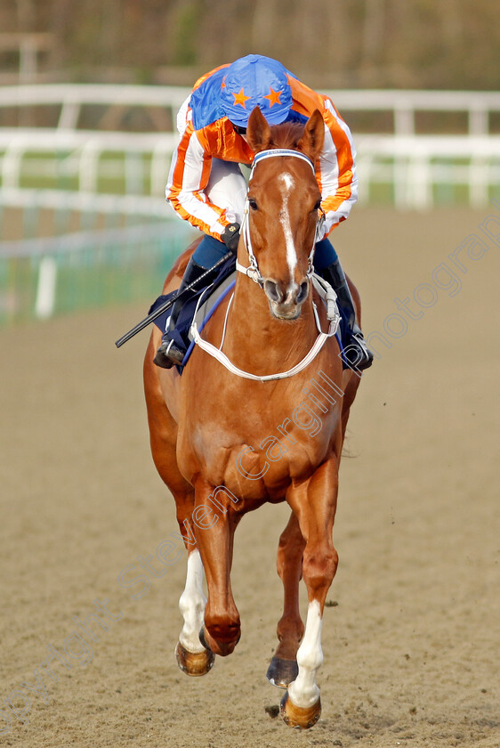 Orange-N-Blue-0001 
 ORANGE N BLUE (Callum Shepherd)
Lingfield 20 Jan 2024 - Pic Steven Cargill / Racingfotos.com