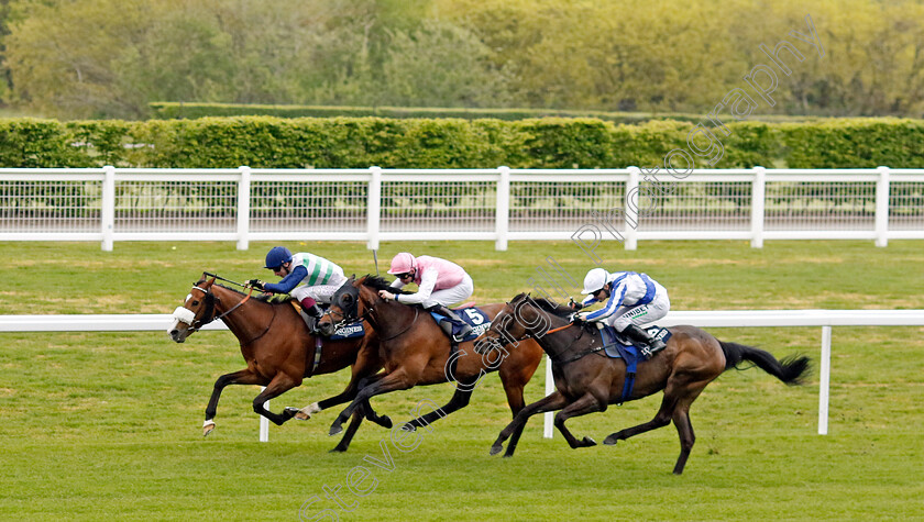 Coltrane-0002 
 COLTRANE (left, Oisin Murphy) beats CAIUS CHORISTER (right) and SWEET WILLIAM (centre) in The Longines Sagaro Stakes
Ascot 1 May 2024 - Pic Steven Cargill / Racingfotos.com