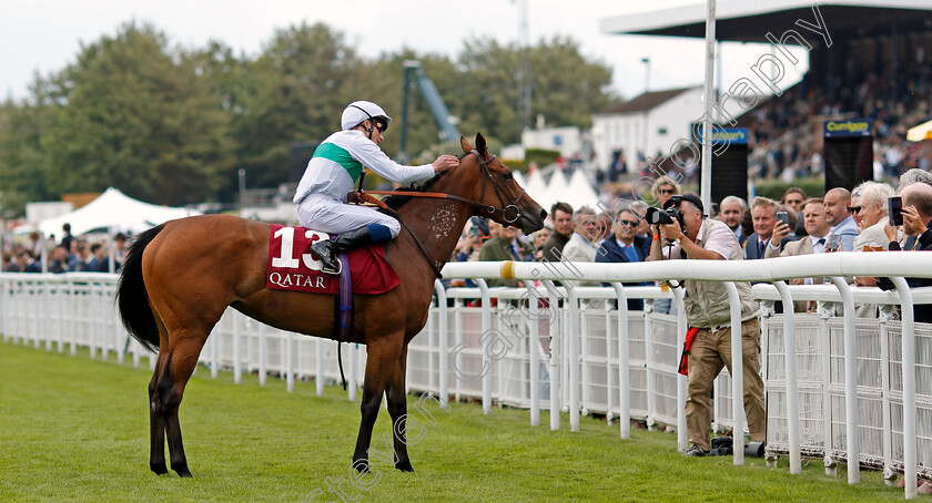 Suesa-0007 
 SUESA (William Buick) after The King George Qatar Stakes
Goodwood 30 Jul 2021 - Pic Steven Cargill / Racingfotos.com