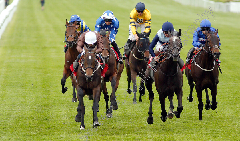 Lord-Lamington-0004 
 LORD LAMINGTON (left, Silvestre De Sousa) beats PREFONTAINE (centre) and TIDAL POINT (right) in The Starsports.bet Handicap
Sandown 30 May 2019 - Pic Steven Cargill / Racingfotos.com