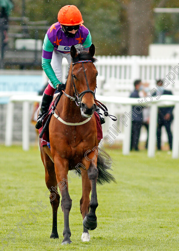 Lady-Bowthorpe-0001 
 LADY BOWTHORPE (Oisin Murphy)
Newbury 15 May 2021 - Pic Steven Cargill / Racingfotos.com