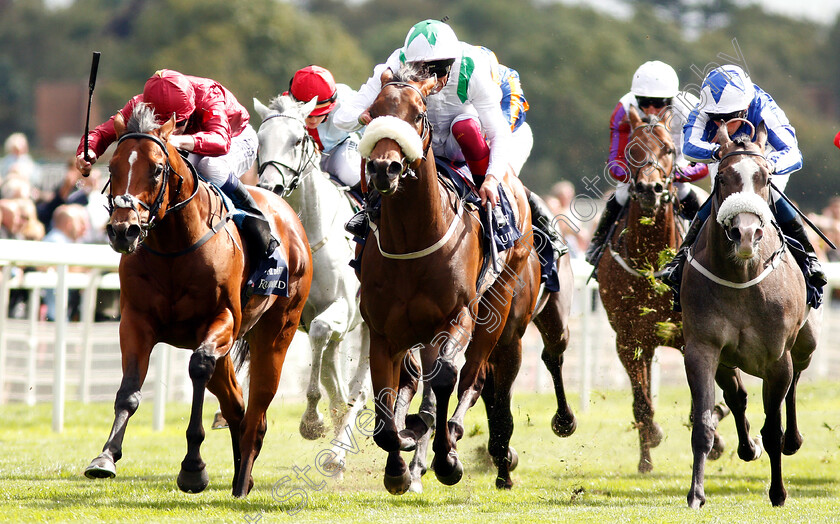 Emaraaty-Ana-0004 
 EMARAATY ANA (centre, Frankie Dettori) beats LEGENDS OF WAR (left) in The Al Basti Equiworld Gimcrack Stakes
York 24 Aug 2018 - Pic Steven Cargill / Racingfotos.com