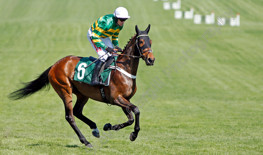 Dame-De-Compagnie-0001 
 DAME DE COMPAGNIE (Barry Geraghty) before winning The Huw Stevens Jo Whiley Afterparty Onsale Mares Novices Hurdle Cheltenham 19 Apr 2018 - Pic Steven Cargill / Racingfotos.com