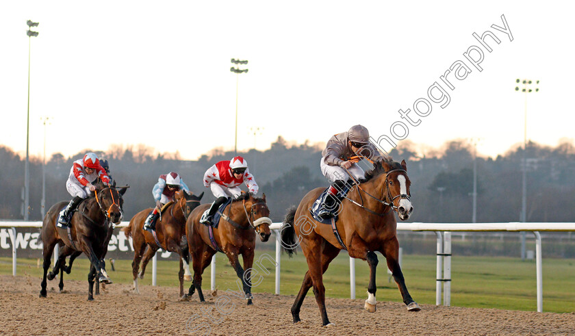 Eglish-0002 
 EGLISH (Ben Curtis) wins The Ladbrokes Football Acca Boosty Handicap
Wolverhampton 20 Jan 2020 - Pic Steven Cargill / Racingfotos.com