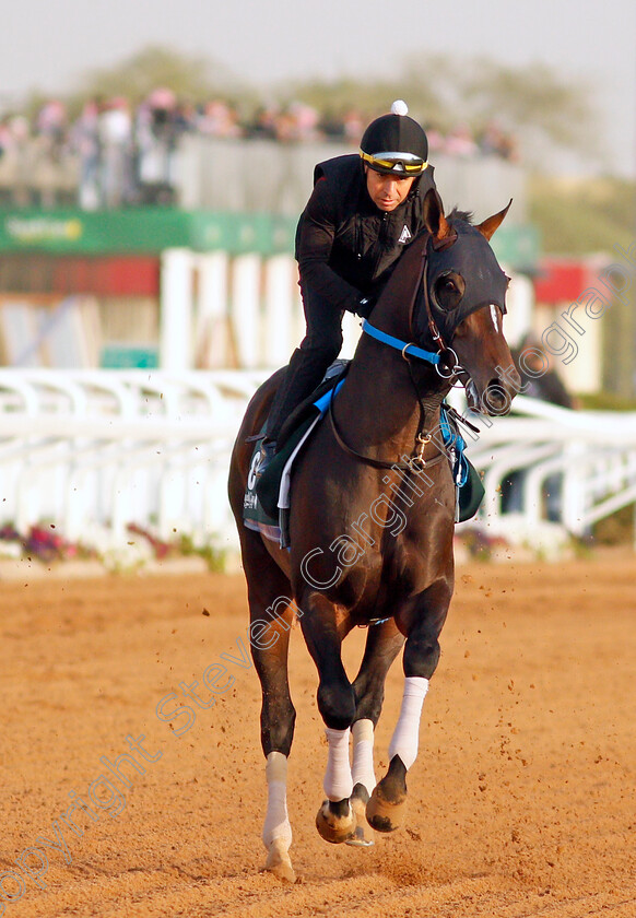 Midnight-Bourbon-0001 
 MIDNIGHT BOURBON training for the Saudi Cup
King Abdulaziz Racetrack, Riyadh, Saudi Arabia 24 Feb 2022 - Pic Steven Cargill / Racingfotos.com