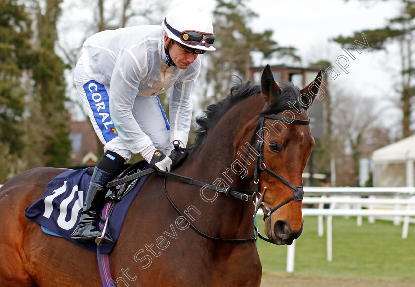 One-Night-Stand-0006 
 ONE NIGHT STAND (Kieran O'Neill) winner of The Build The Acca With Betuk Handicap
Lingfield 20 Jan 2024 - Pic Steven Cargill / Racingfotos.com