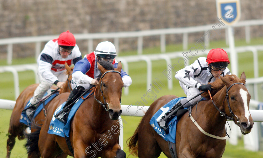 Great-Dame-0006 
 GREAT DAME (right, Daniel Tudhope) beats IVA REFLECTION (left) in The Stellar Group Lily Agnes Stakes
Chester 8 May 2019 - Pic Steven Cargill / Racingfotos.com