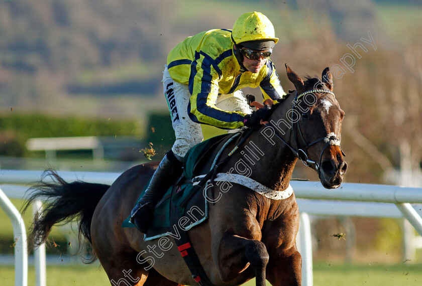 Peaky-Boy-0002 
 PEAKY BOY (Nico de Boinville)
Cheltenham 14 Dec 2024 - Pic Steven Cargill / Racingfotos.com