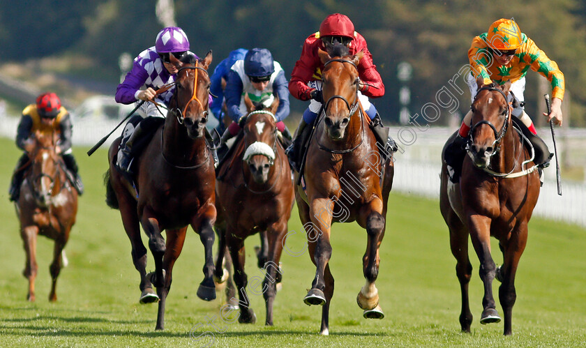 War-Horse-0003 
 WAR HORSE (centre, Marco Ghiani) beats SUPER STARS (right) and HAPAP (left) in The Ryan Canter Club Future Stayers EBF Maiden Stakes
Goodwood 22 Sep 2021 - Pic Steven Cargill / Racingfotos.com