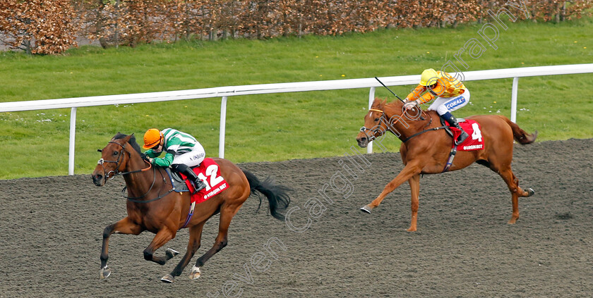 Duty-Of-Care-0002 
 DUTY OF CARE (Saffie Osborne) beats SLEEPING LION (right) in The Virgin Bet Queen's Prize Handicap
Kempton 6 Apr 2024 - Pic Steven Cargill / Racingfotos.com