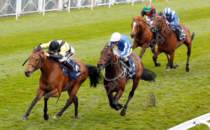 Future-Investment-0002 
 FUTURE INVESTMENT (Harry Bentley) beats BO SAMRAAN (centre) in The Sportpesa Maiden Stakes
Chester 8 May 2019 - Pic Steven Cargill / Racingfotos.com