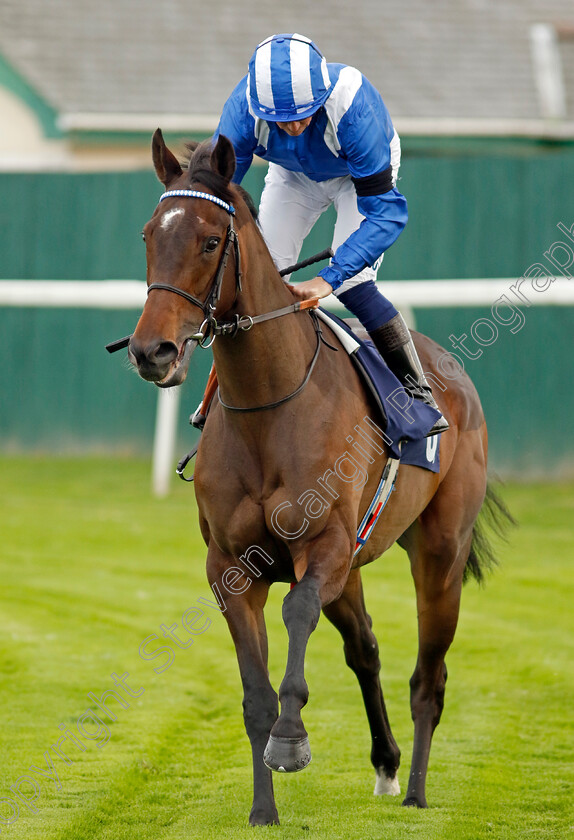 Tarhib-0008 
 TARHIB (Jim Crowley) winner of The Bob Hunt's Race Day Fillies Handicap
Yarmouth 13 Sep 2022 - Pic Steven Cargill / Racingfotos.com