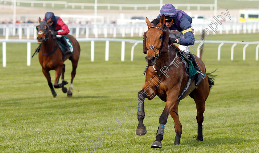 Bob-Mahler-0003 
 BOB MAHLER (Daryl Jacob) wins The Arkells Brewery Nicholson Holman Novices Limited Handicap Chase
Cheltenham 17 Apr 2019 - Pic Steven Cargill / Racingfotos.com