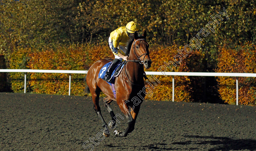 Beowulf-0001 
 BEOWULF (Tom Marquand)
Kempton 11 Nov 2020 - Pic Steven Cargill / Racingfotos.com