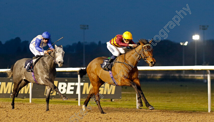 Rocking-Tree-0003 
 ROCKING TREE (Billy Loughnane) beats ARCTIC DAWN (left) in The Boost Your Acca At Betmgm Novice Stakes
Wolverhampton 9 Mar 2024 - Pic Steven Cargill / Racingfotos.com