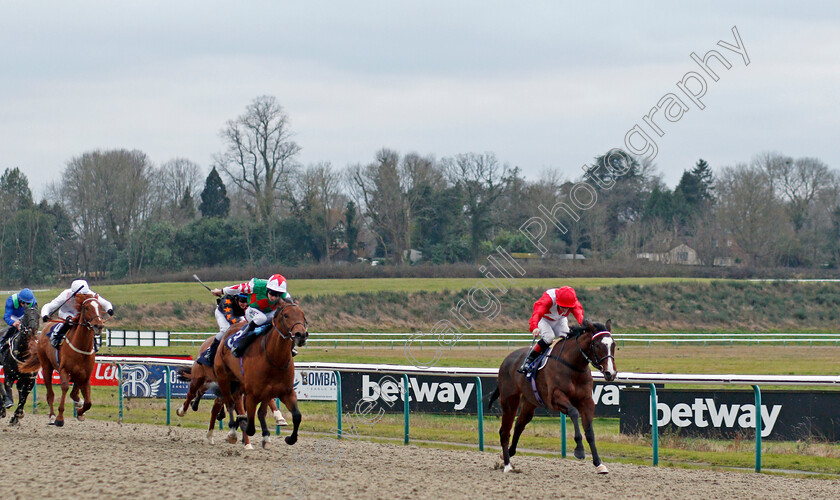 Lua-De-Mel-0001 
 LUA DE MEL (Ben Curtis) wins The Betway Novice Median Auction Stakes
Lingfield 10 Jan 2020 - Pic Steven Cargill / Racingfotos.com