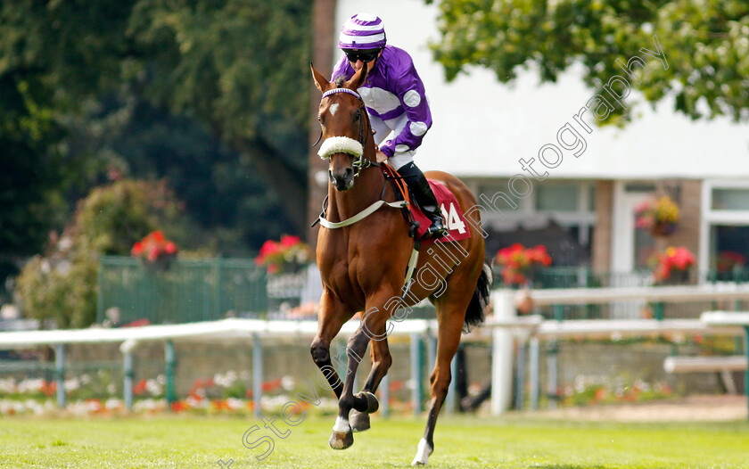 Violeta-0001 
 VIOLETA (Paul Hanagan)
Haydock 2 Sep 2022 - Pic Steven Cargill / Racingfotos.com